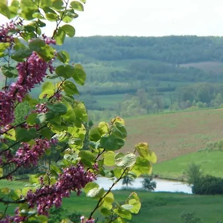 Bed & Breakfast Maison D'hotes Le Logis De Reyjade *